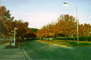 photo of a collector in a residential area, Greenbelt, MD