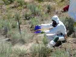 protective suit clad employee sitting on ground with small bucket in sagebrush field