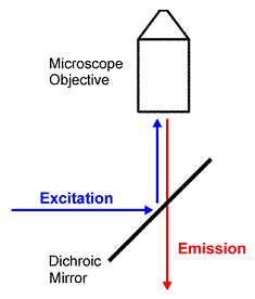 Separation of light paths