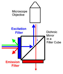 Separation of light paths: filter cube