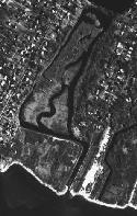 Aerial photograph of Lock Lake tidal marsh.
