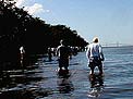 Managers wade to scientific exhibits at Mariposa Key