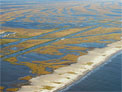wetlands of Louisiana