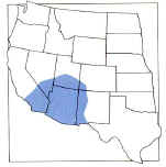 Distribution map of copperweed
