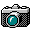 camera.gif (1053 bytes)