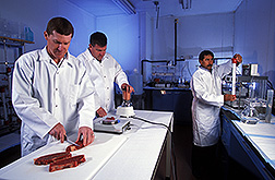 Two food technologists prepare muscle for calpain extraction as physiologist Mohammad Koohmaraie separates calpain and calpastatin from a meat extract:  Link to photo information