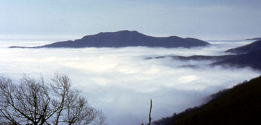 An ocean of fog makes islands out of mountain tops in the Blue Ridge.