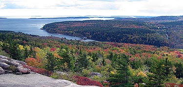 Bright colors cover the mountainside along the ocean.