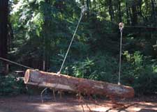 [photo} log suspended from an overhead cable