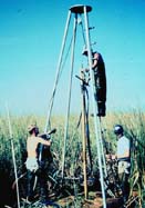 photo of scientists and equipment in the field
