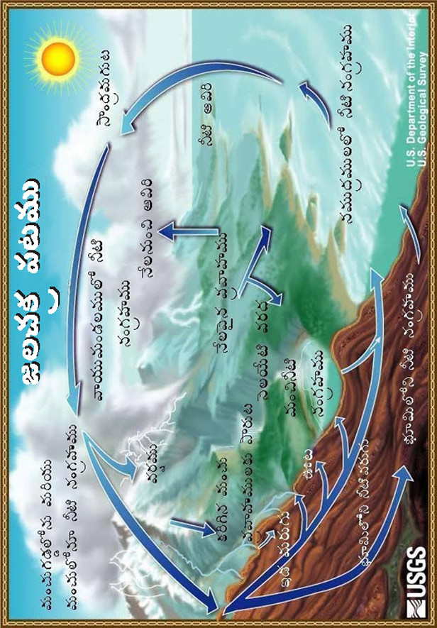 The water cycle, in Telugu. 