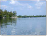 photo of Biscayne Bay, with an island at left and mangroves lining the shoreline at back