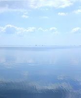 photo of biscayne bay