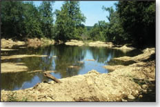 Photo depicting an example of habitat degradation at a gravel mining site at Sellars Creek in Camden County, 2000.