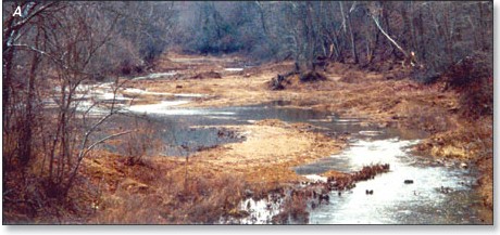 Photo depicting active instream gravel mining at Barren Fork in Miller County, Missouri, 2000.