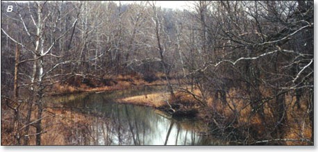 Photo depicting natural channel approximately 100 meters downstream from photograph A  at Barren Fork in Miller County, Missouri. 2000.