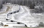 Photo of the Trans-Alaskan Pipeline.