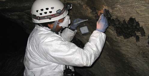 Taking samples in caves - story details below