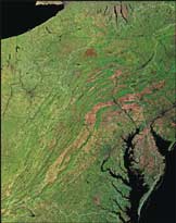 satellite image of Chesapeake Bay