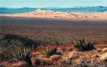 photo of Mojave Desert landscape
