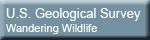 U.S. Geological Survey - Wandering Wildlife