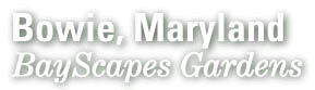 Bowie Maryland Bayscapes Project