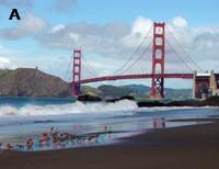 A great red suspension bridge crossing a narrow mountainous harbor entrance