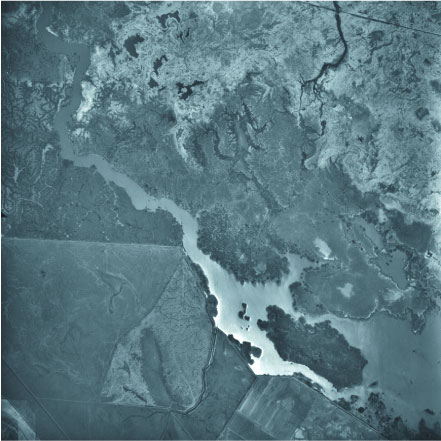 image, aerial photograph of wetlands near fresno, california