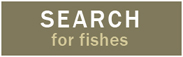 Search for Fishes