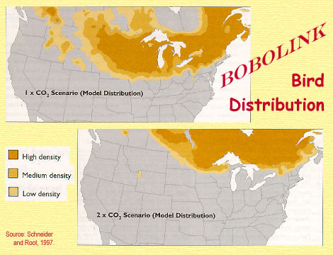 Bobolink bird distribution.