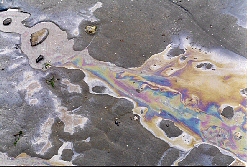 image - oily sheen on top of wet sand