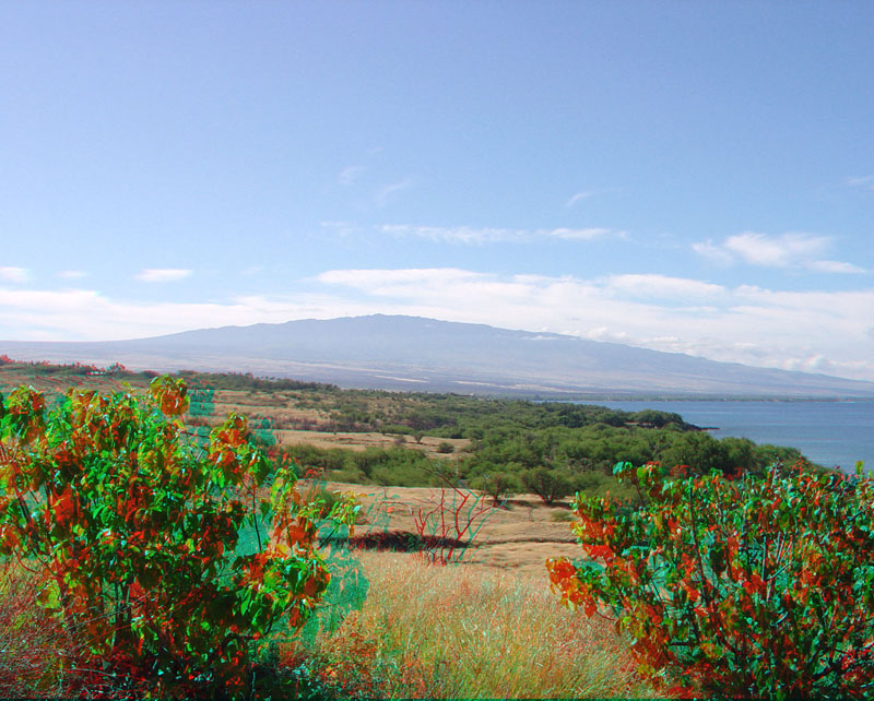 Puukohola Heiau