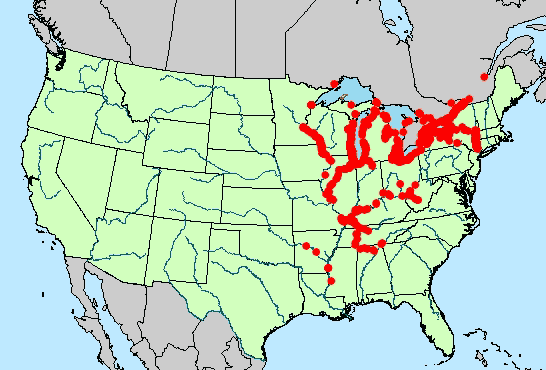 1992 Map