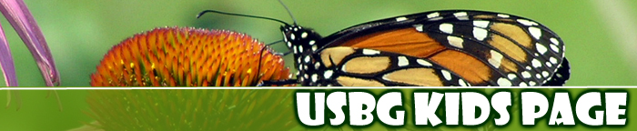 USBG Kids Page