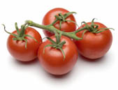 tomatoes