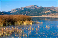 Photo | Rocky Mountain Front -- West of Augusta, Montana