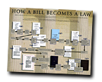 How a Bill Becomes a Law Flyer