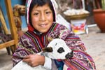 Photo: A Peruvian boy holding a lamb