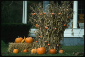 Pumpkins and a haystack in front of a house.
