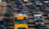 cars and school bus in traffic