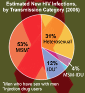 Chart: Estimated New HIV Infections, by Transmission Category (2006)