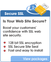 SSL Web Site Security