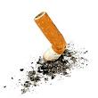 a photo of a crushed cigarette