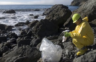 A clean-up crewman removes oil from rocks on Muir Beach (Calif.)November 15, 2007. Crews have been working to clean the area after the M/V Cosco Busan struck a fender on the Bay Bridge in San Francisco.