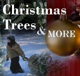 Learn all about Christmas trees, as well as a listing of Christmas tree farms in Illinois, Indiana, Wisconsin and Michigan.