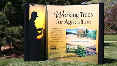 Working Trees For Agriculture display