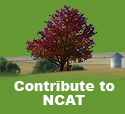 Contribute to NCAT