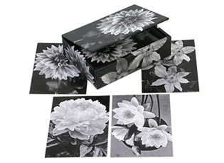 Flower Portraits Note Cards and Keep It Box