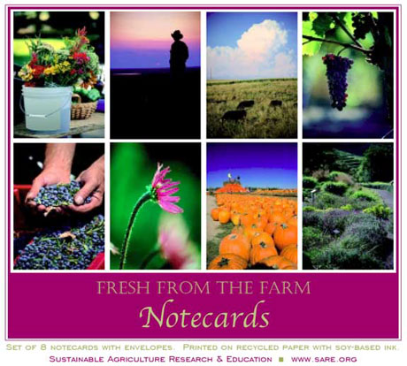 Fresh from the Farm notecards image