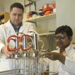 biofuels experiment